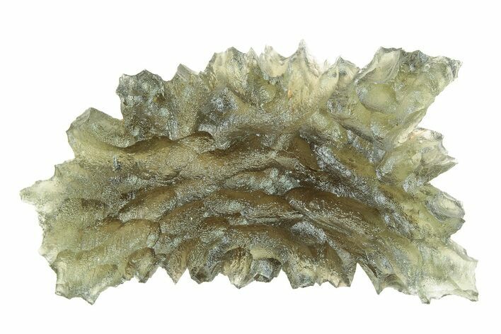 Green Moldavite Tektite ( g) - Besednice, Czech Republic #376270
